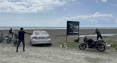 Kuduz karantinasındaki 4 mahallede başıboş köpekler toplanmaya başladı