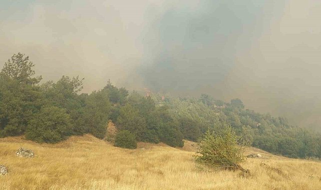 Kula'daki orman yangını için ekipler ve vatandaşlar seferber oldu