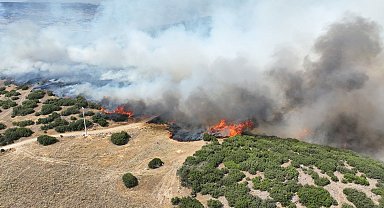 Kula'daki orman yangını kontrol altında