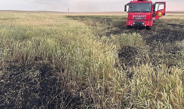 Kulu'da arpa ekili tarlada yangın