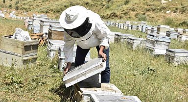 Kuraklık Bitlisli arıcıları kara kara düşündürüyor
