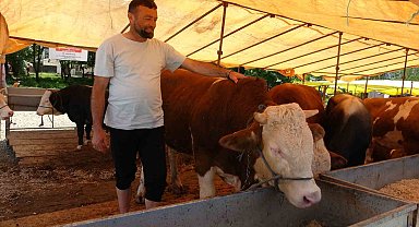 Kurban satıcıları, yurtdışı bağışlardan ve marketlerden şikayetçi