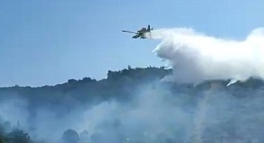 Kuşadası'nda orman yangını