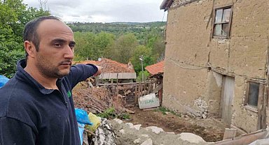 Kütahya'da kurtların saldırısında 11 koyun telef oldu