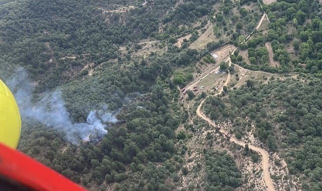 Kütahya'daki orman yangınında 8 dekar alan zarar gördü