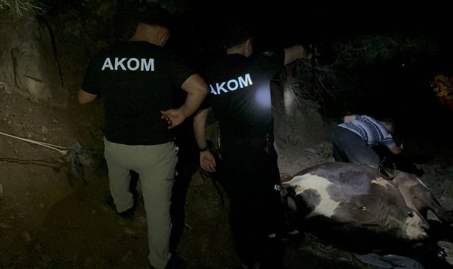 Kuyuda bulunan kayıp inek saatler süren çalışmayla kurtarıldı