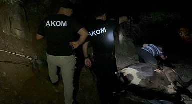 Kuyuda bulunan kayıp inek saatler süren çalışmayla kurtarıldı