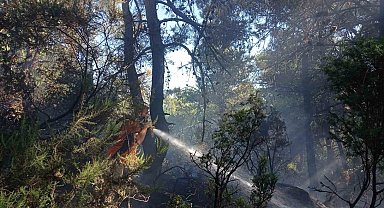 Lapseki'de ormanlık alanda çıkan yangın kontrol altına alındı