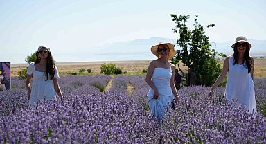 Lavanta tarlalarında mor bir şölen: Festival hasatla başladı, koku atölyeleri mest etti