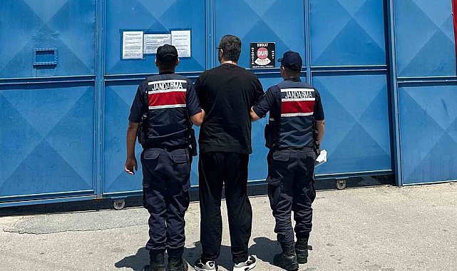 Limon bahçesinde saklanan hükümlü yakalandı
