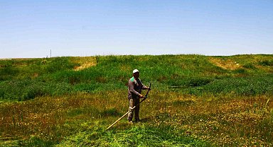 Malazgirt'te tırpanın son ustası