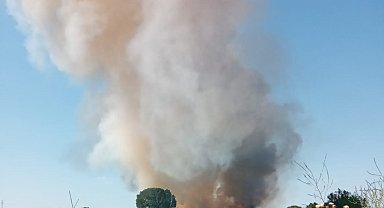 Malkara'da buğday tarlasında yangın: 20 dönüm kül oldu
