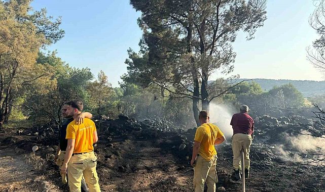 Mangal yakarak orman yangınına neden olan şahıs tutuklandı