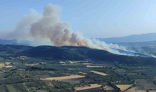 Manisa Kırkağaç'ta orman yangını: Havadan ve karadan müdahale sürüyor