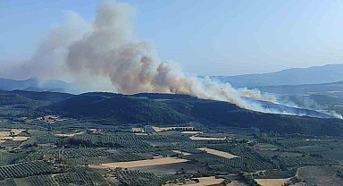 Manisa Kırkağaç'ta orman yangını: Havadan ve karadan müdahale sürüyor