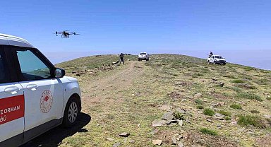 Manisa'da çekirgeye karşı havadan ve karadan mücadele