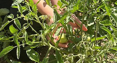 Manisa'da geri dönüşümle doğal yaşam sınıfı kuruldu