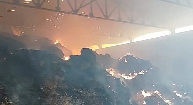 Manisa'da samanlık yangını: Binlerce balya saman kül oldu