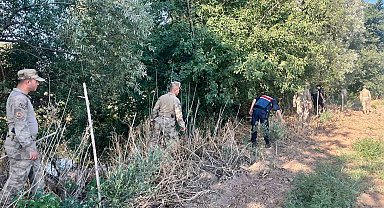 Manisa'da yasadışı kenevir ekim alanlarına sıkı denetim