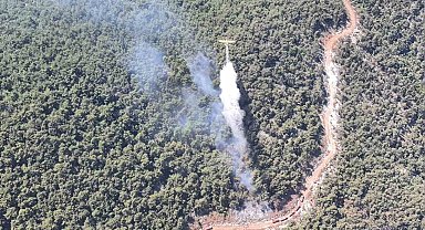 Manisa'daki orman yangını kontrol altına alındı