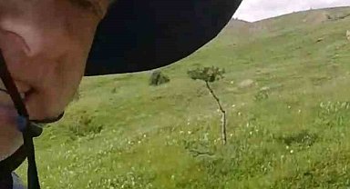 Mantar toplamaya çıktı, tilkiyle dost oldu