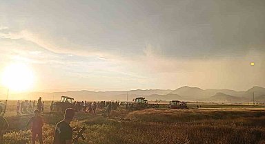 Mardin'de 350 dönüm ekili buğday tarlası yandı