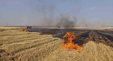 Mardin'de çıkan anız ve orman yangınları söndürüldü