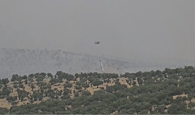 Mardin'de çıkan orman yangını kontrol altına alındı