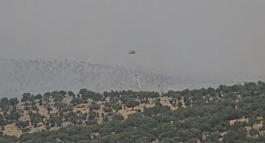 Mardin'de çıkan orman yangını kontrol altına alındı