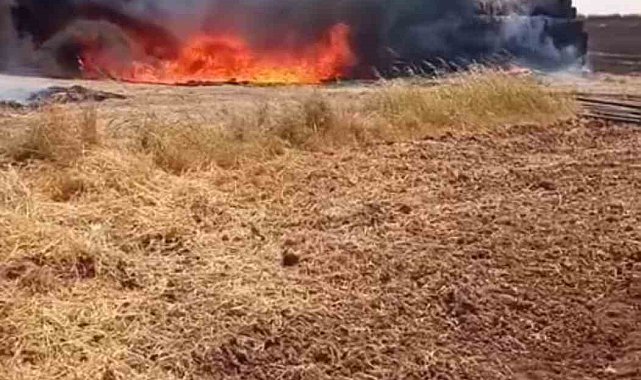 Mardin'de çıkan yangında 25 ton saman ve 300 sulama borusu yandı