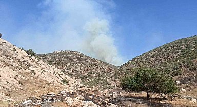 Mardin'de orman yangını