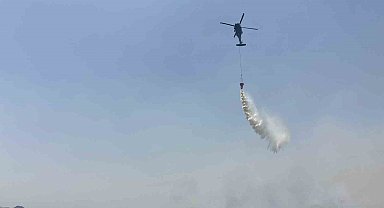 Mardin'de orman yangınına havadan ve karadan müdahale sürüyor