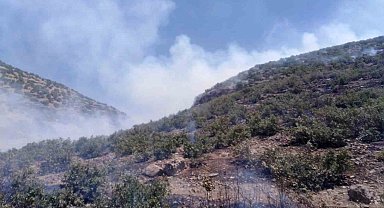 Mardin'de ormanlık alanda çıkan yangına müdahale sürüyor