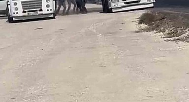 Mardin'de şoförlerin ayakkabılı tekmeli yol kavgası