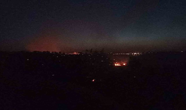 Mardin'deki orman yangını kontrol altına alındı