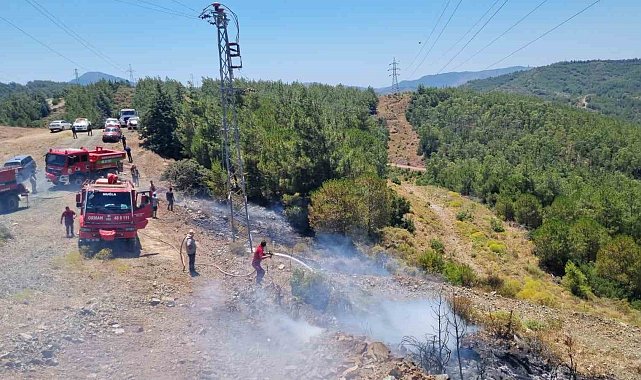 Marmaris'teki orman yangını büyümeden söndürüldü