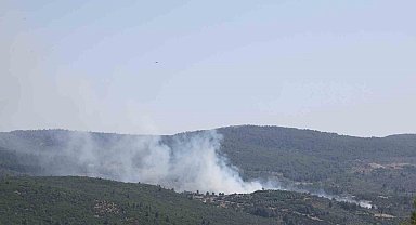 Menteşe'de çıkan yangın kontrol altına alındı