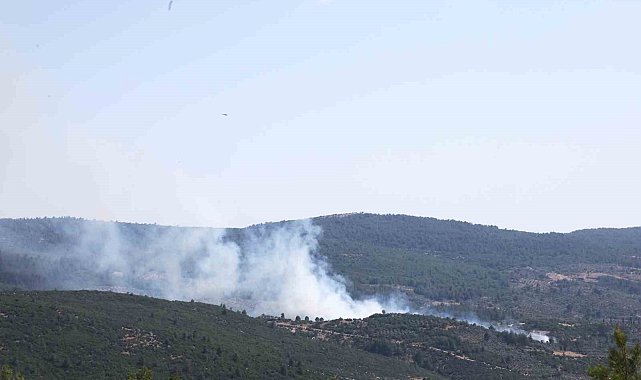 Menteşe'de orman yangını başladı