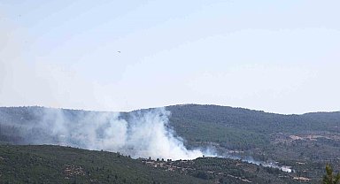 Menteşe'de orman yangını başladı