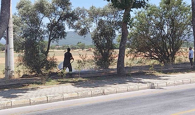 Menteşe'de yangın büyümeden söndürüldü