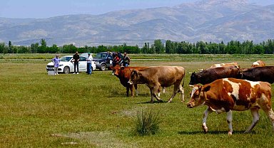 Meralarda su arama çalışmaları yapılıyor
