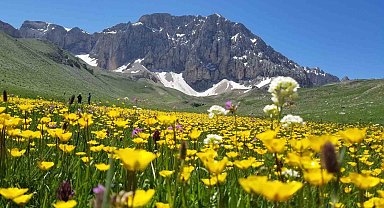 Merg Yaylası, bu günlerde yerli ve yabancı doğaseverlere ev sahipli yapıyor