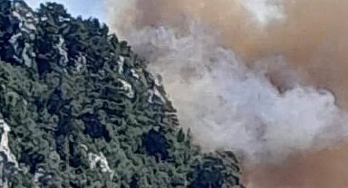 Mersin Bozyazı'da orman yangınına ekipler müdahale ediyor