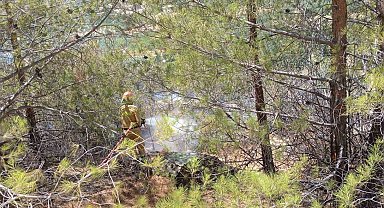 Mersin Mut'ta orman yangını