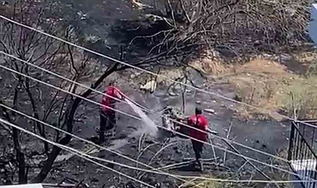 Mersin'de kayısı bahçesinde yangın