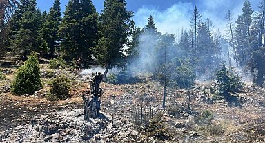 Mersin'de orman yangını, ekipler müdahaleye başladı