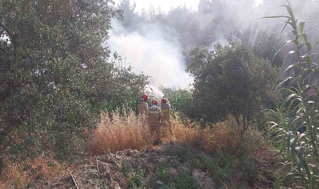 Mersin'de tarım arazisinde çıkan yangın korkuttu