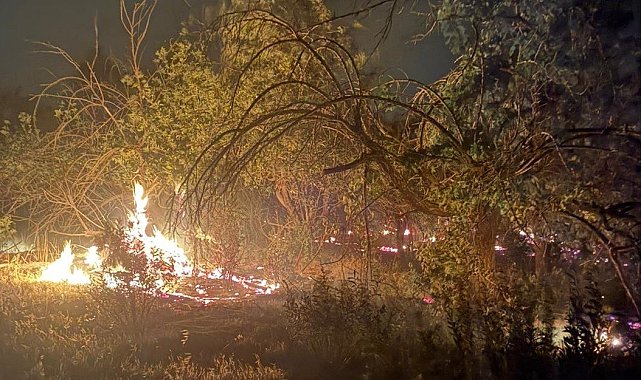 Mersin'de üç noktada çıkan yangın kontrol altına alındı