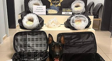 Mersin'de uyuşturucu ile mücadele: 49 şüpheli tutuklandı