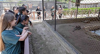 Mersin'deki 'Minikbüs Projesi' çocuklara gezi ve öğrenme yolculuğu sunuyor